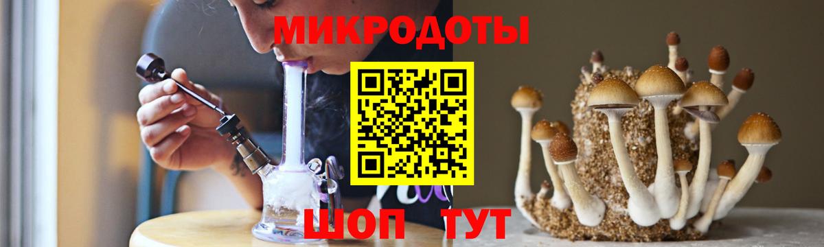 Галлюциногенные грибы прущие грибы  Вход с VPN  Нерюнгри  Галлюциногенные грибы Cubensis 